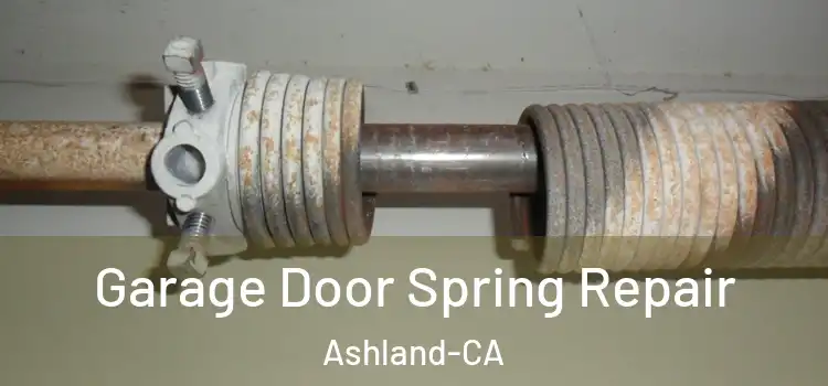  Garage Door Spring Repair Ashland-CA