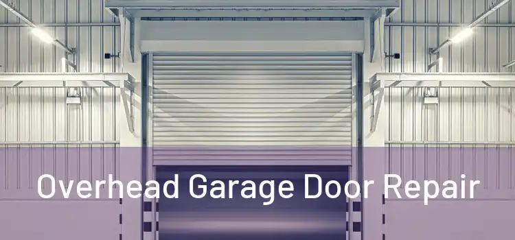  Overhead Garage Door Repair 